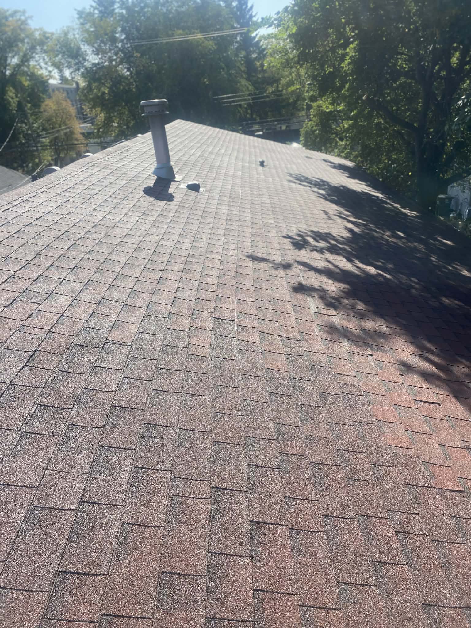 Roof before treatment